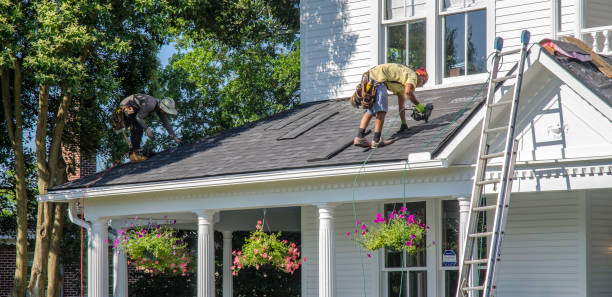 Best Residential Roofing Contractor  in Fennville, MI